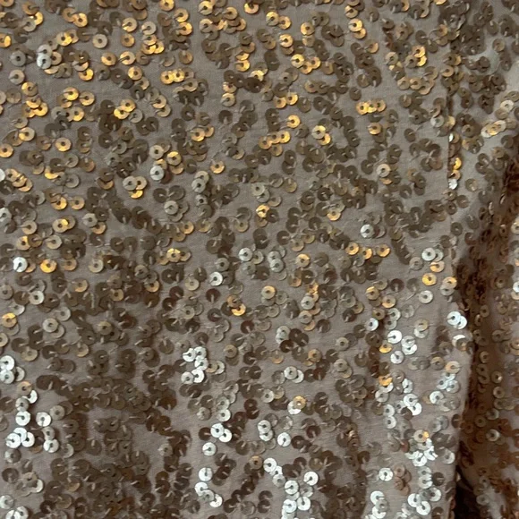 J Crew Rose Gold Sequin Top - Picture 5 of 5